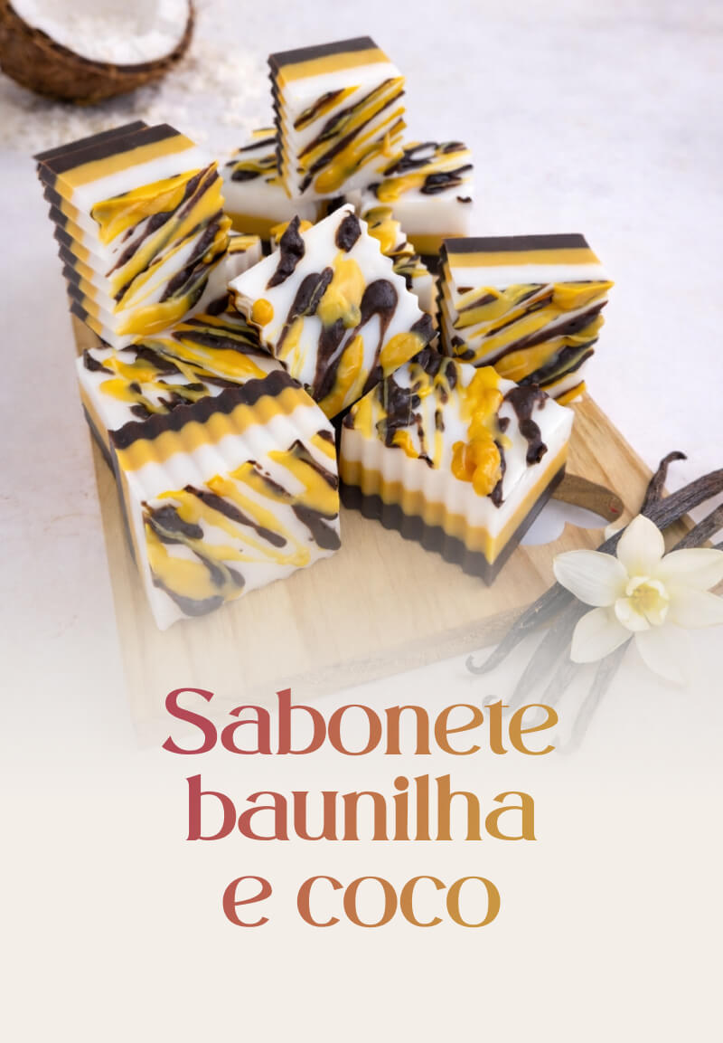 Barra 6